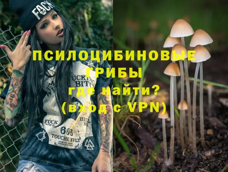 Псилоцибиновые грибы MAGIC MUSHROOMS  нарко площадка какой сайт  Углич 